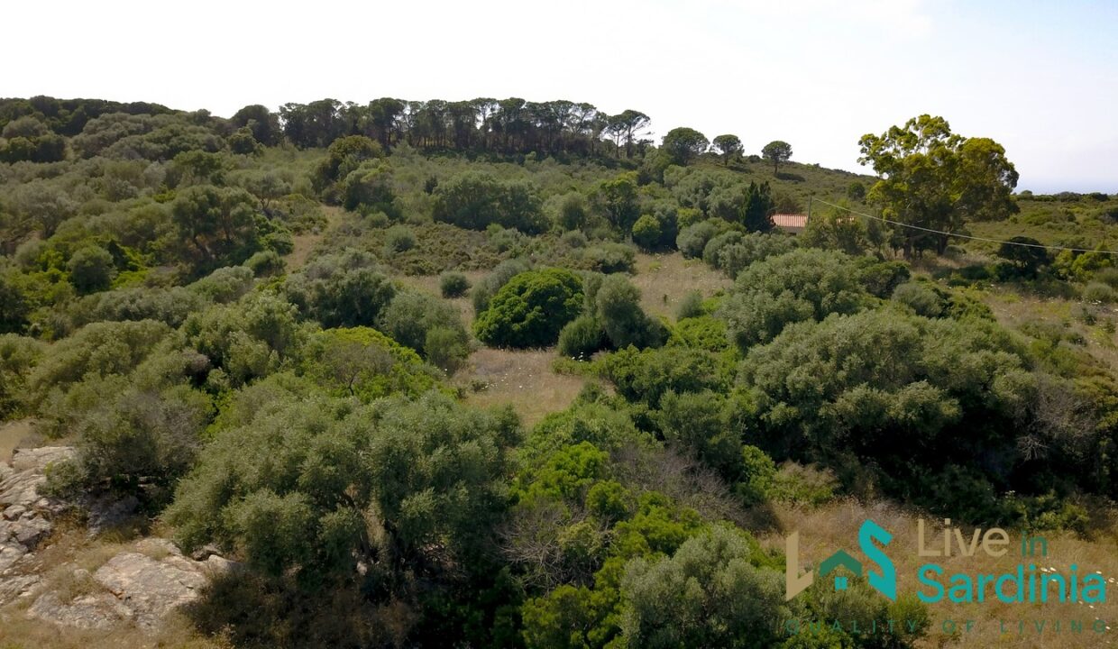 Country-Home-For-Sale-Aglientu-Northern-Sardinia