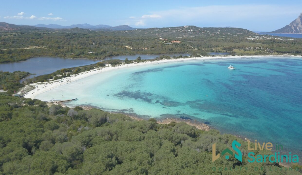 Vineyard-And-Farmstead-For-Sale-In-Sardinia