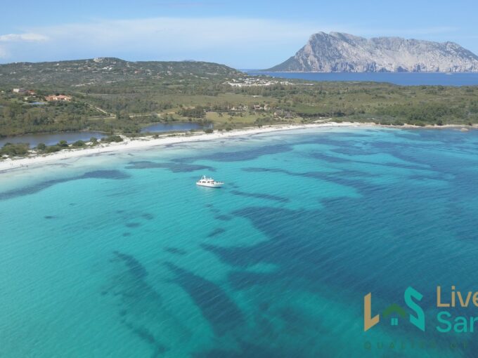 Property For Sale Sardinia Italy