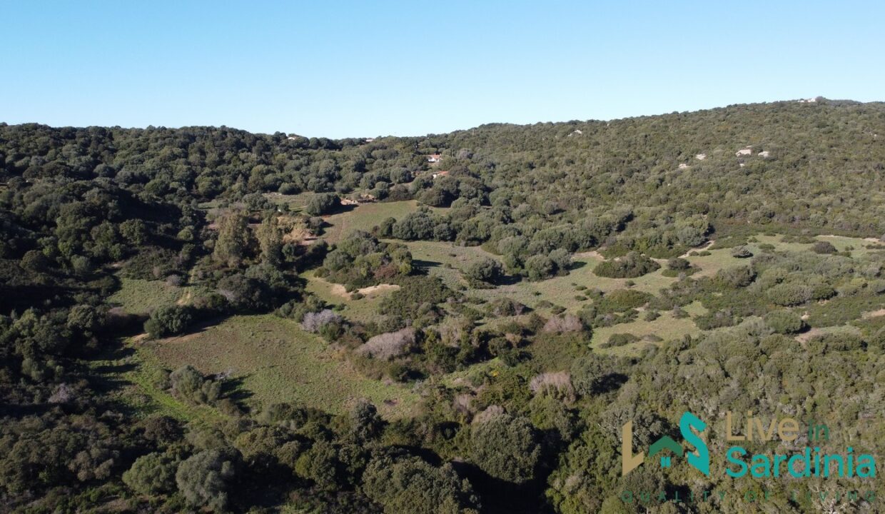 Farmhouse-For-Sale-Arzachena