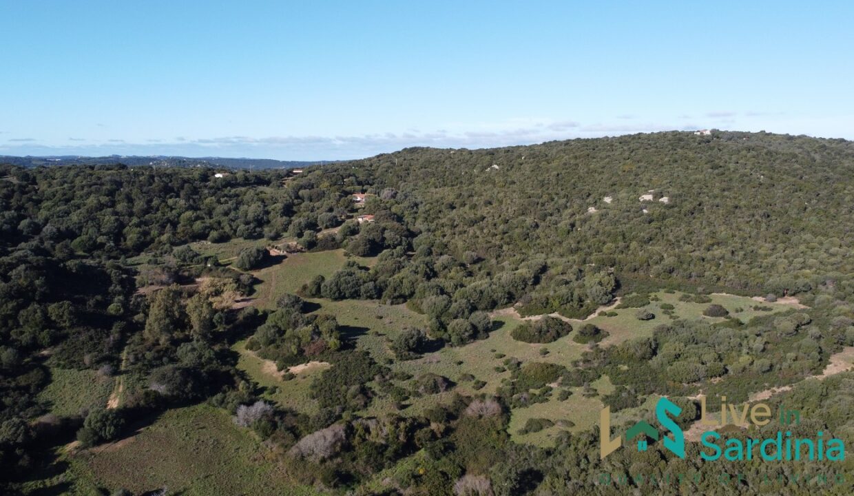 Farmhouse-For-Sale-Arzachena