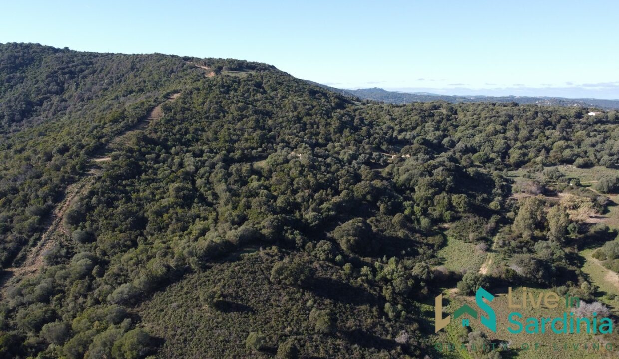 Farmhouse-For-Sale-Arzachena