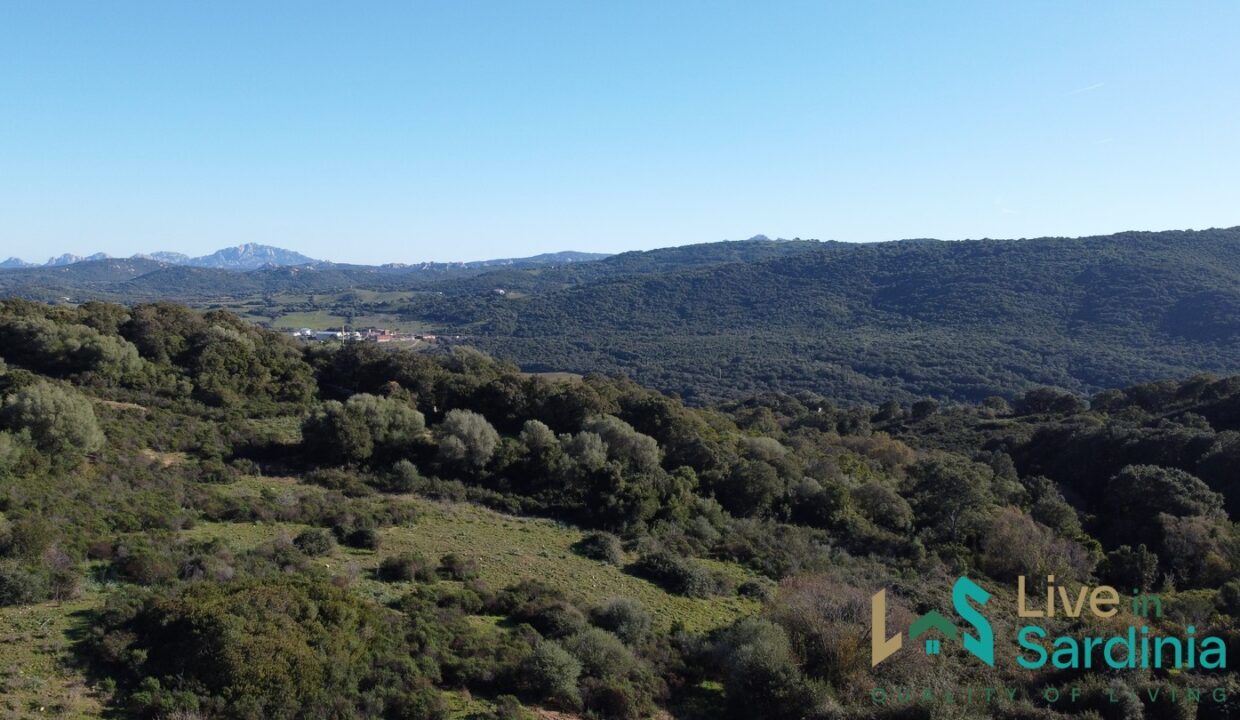 Farmhouse-For-Sale-Arzachena