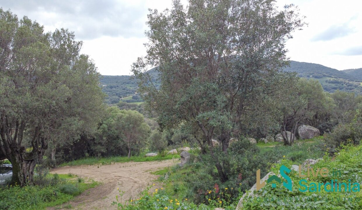 Independent-Country-House-in-Olbia
