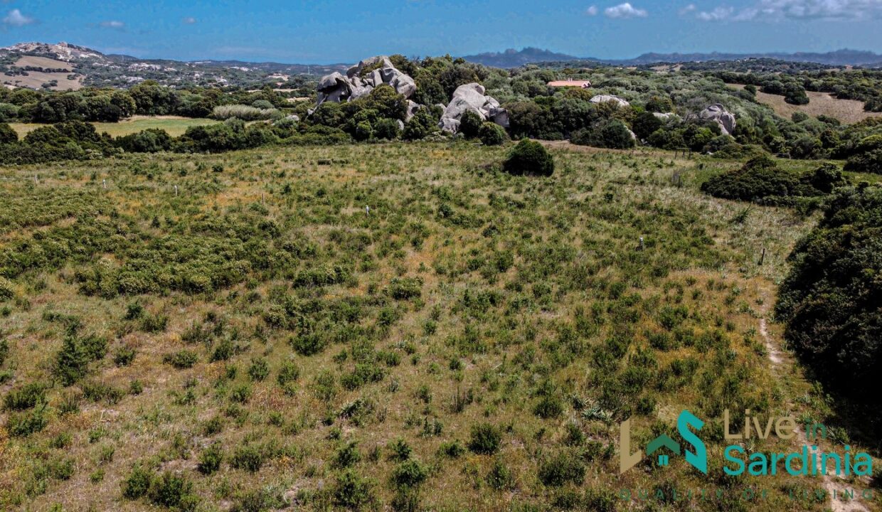 Farmhouse-For-Sale-Luogosanto