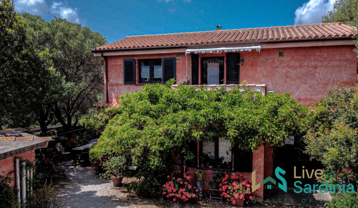Farmhouse-For-Sale-Luogosanto