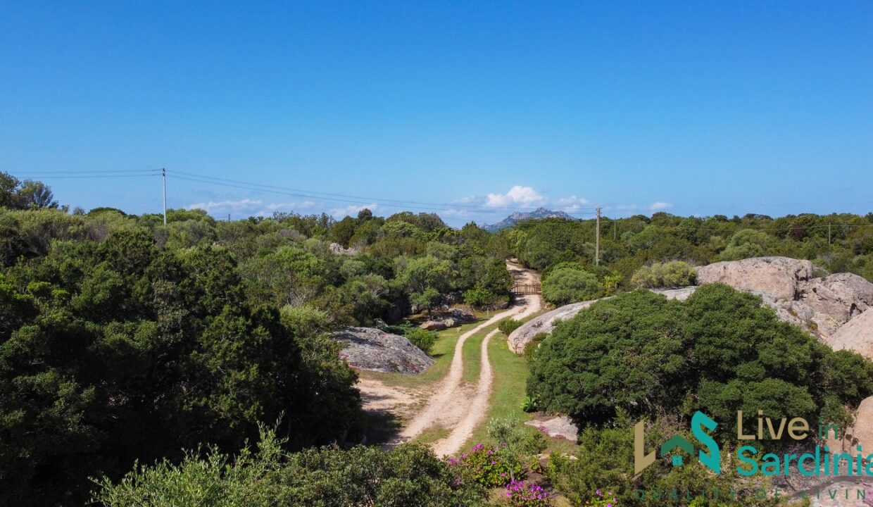Country-Home-For-Sale-Costa-Smeralda-Sardinia