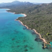 Olbia Homes For Sale