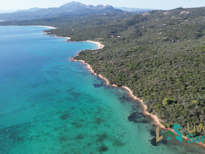 Olbia Homes For Sale