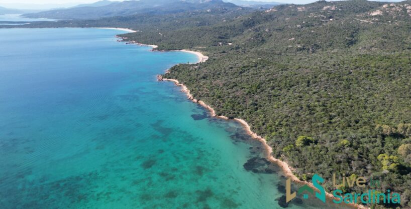 Olbia Homes For Sale