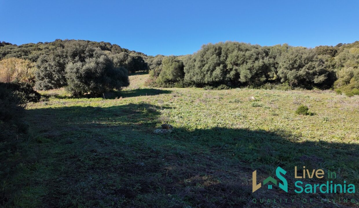 Farmhouse-For-Sale-Arzachena