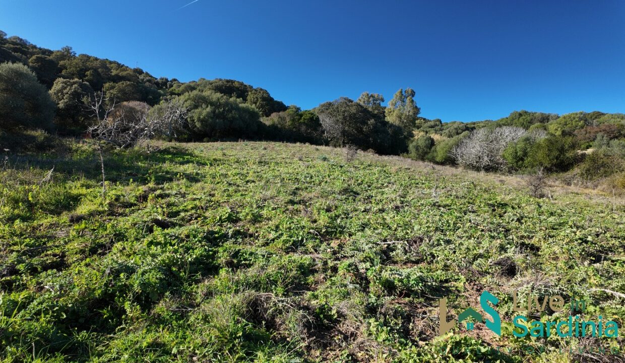 Farmhouse-For-Sale-Arzachena
