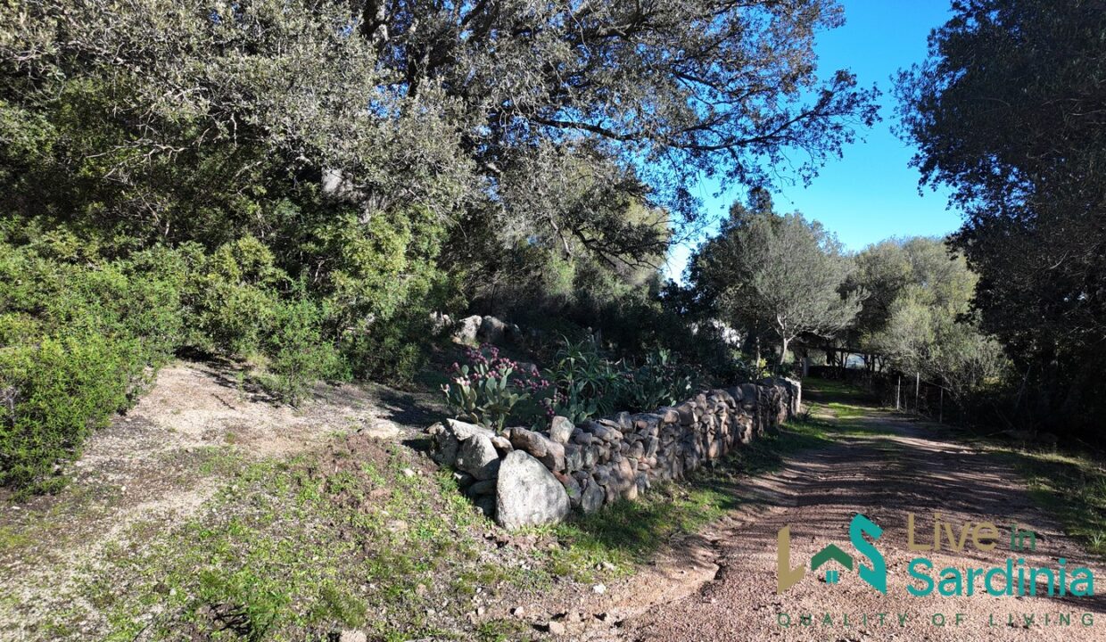 Farmhouse-For-Sale-Arzachena