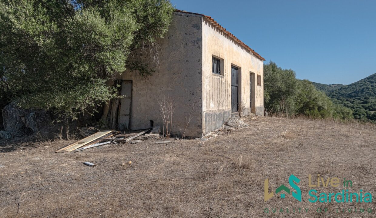 Stazzo-For-Sale-Gallura