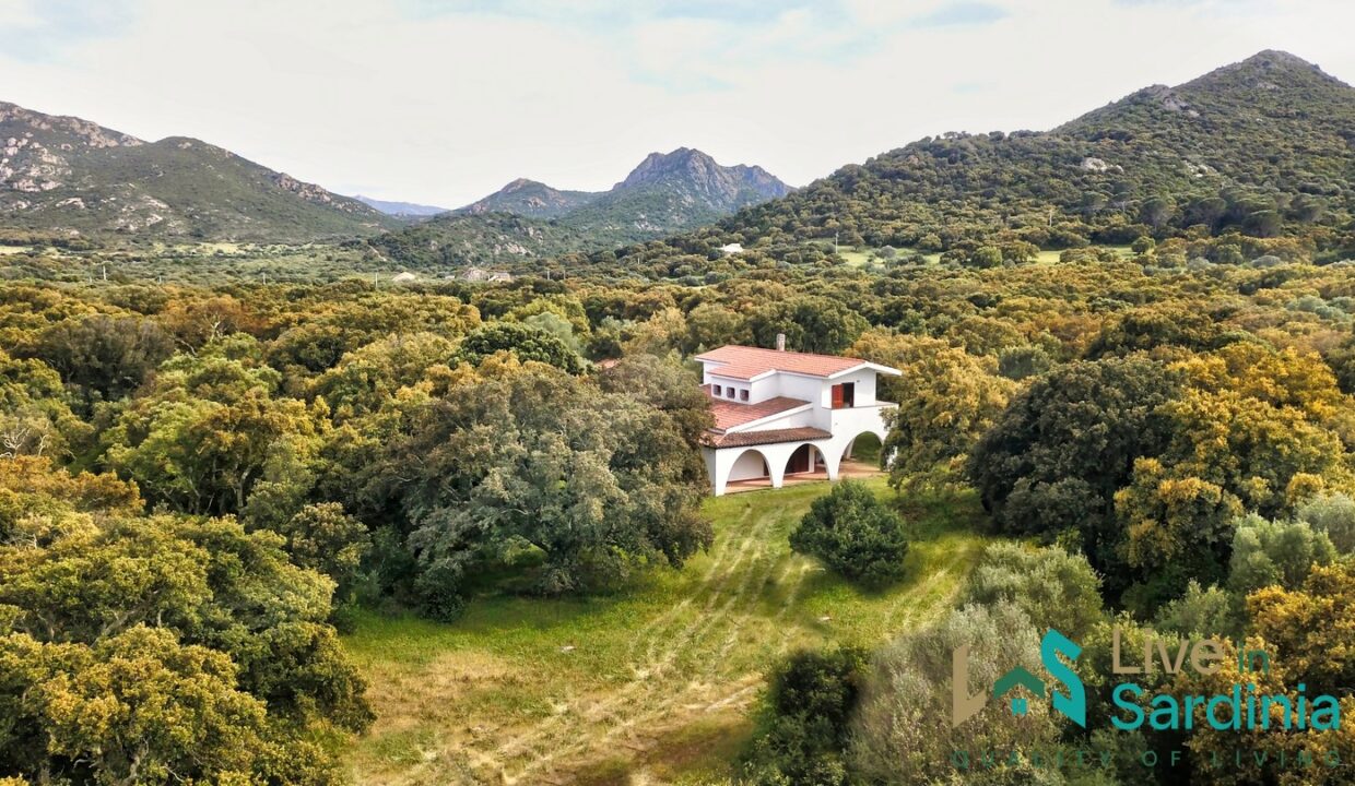 Enchanting-Villa-For-Sale-Olbia