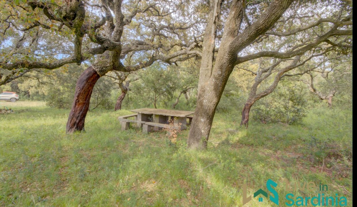 Enchanting-Villa-For-Sale-Olbia