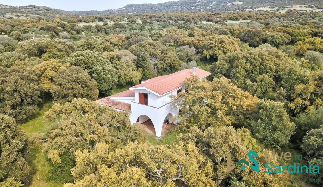 Enchanting-Villa-For-Sale-Olbia