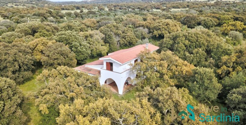 Enchanting Villa For Sale Olbia