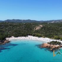 Vineyard And Farmstead For Sale In Sardinia
