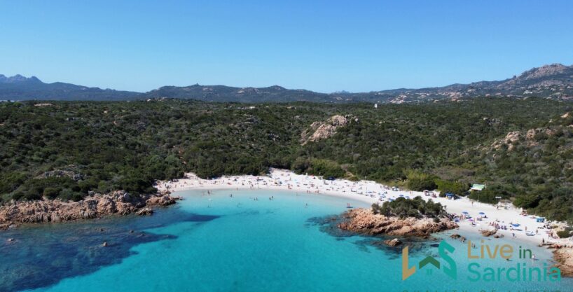 Vineyard And Farmstead For Sale In Sardinia