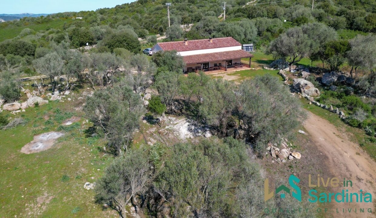 Farmhouse-For-Sale-Arzachena