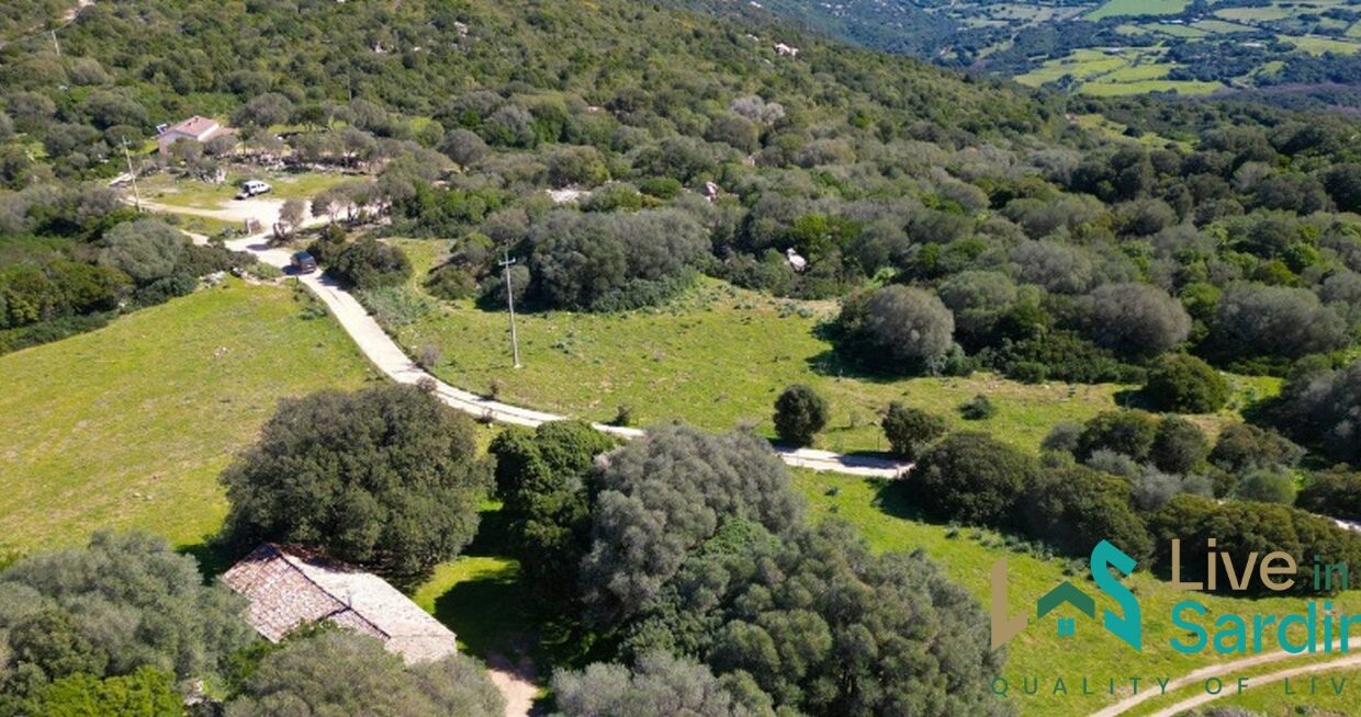 Farmhouse-For-Sale-Arzachena