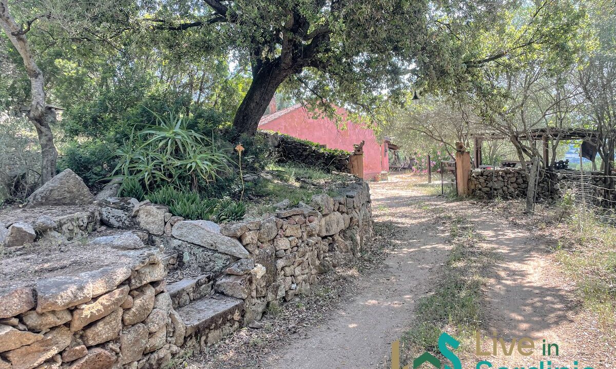 Farmhouse-For-Sale-Arzachena