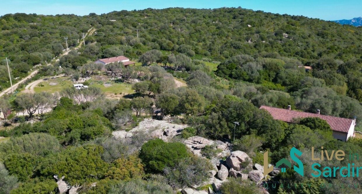 Farmhouse-For-Sale-Arzachena
