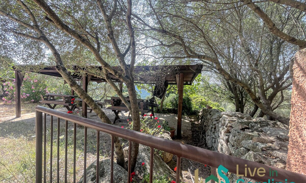Farmhouse-For-Sale-Arzachena