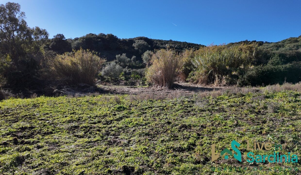 Farmhouse-For-Sale-Arzachena