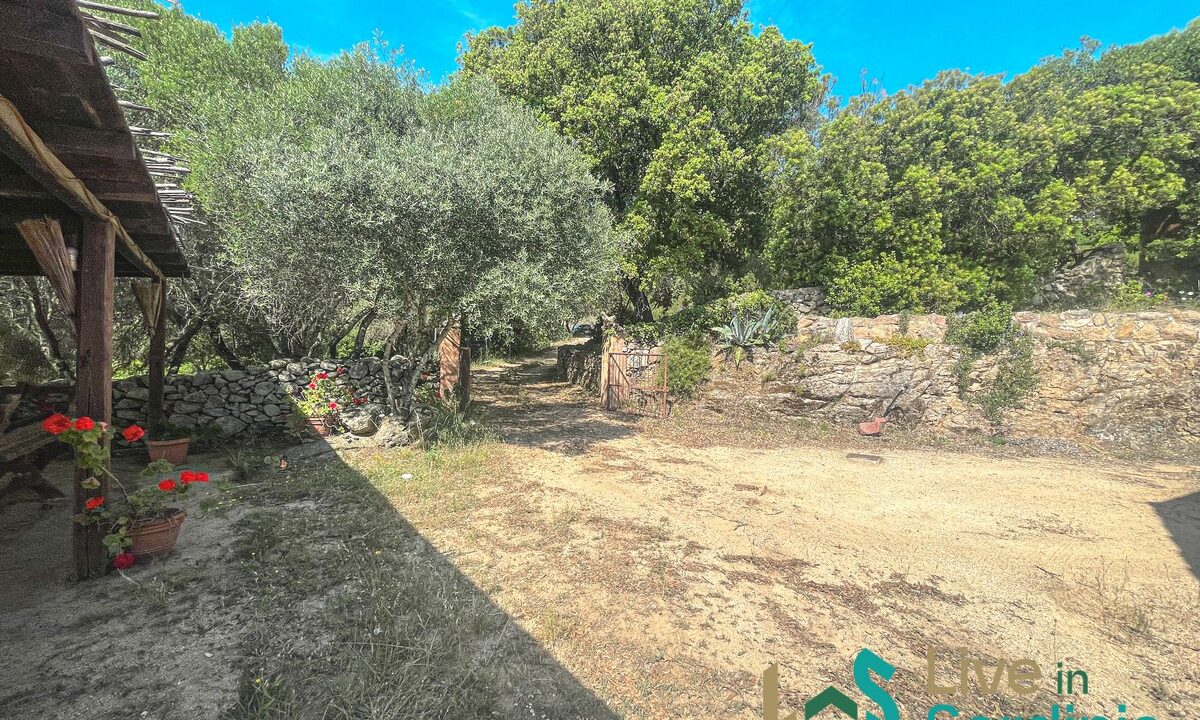 Farmhouse-For-Sale-Arzachena