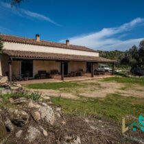 Farmhouse For Sale Arzachena