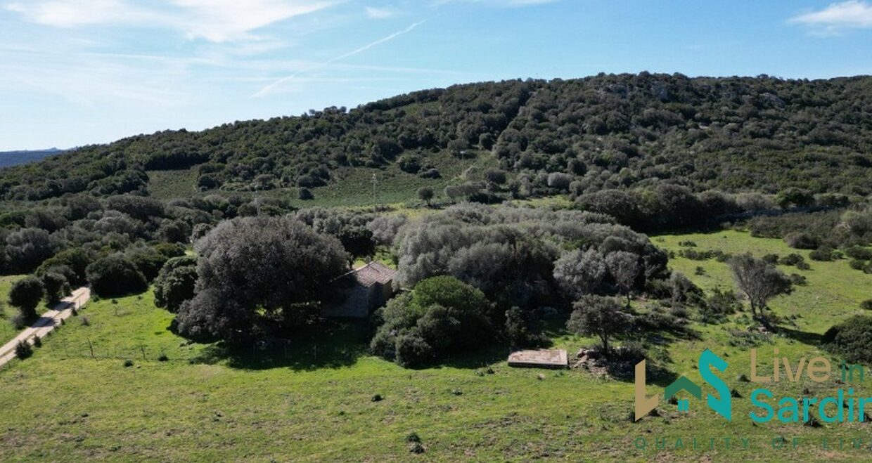 Farmhouse-For-Sale-Arzachena