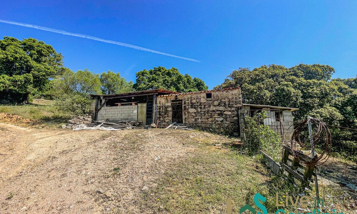 Farmhouse-For-Sale-Arzachena