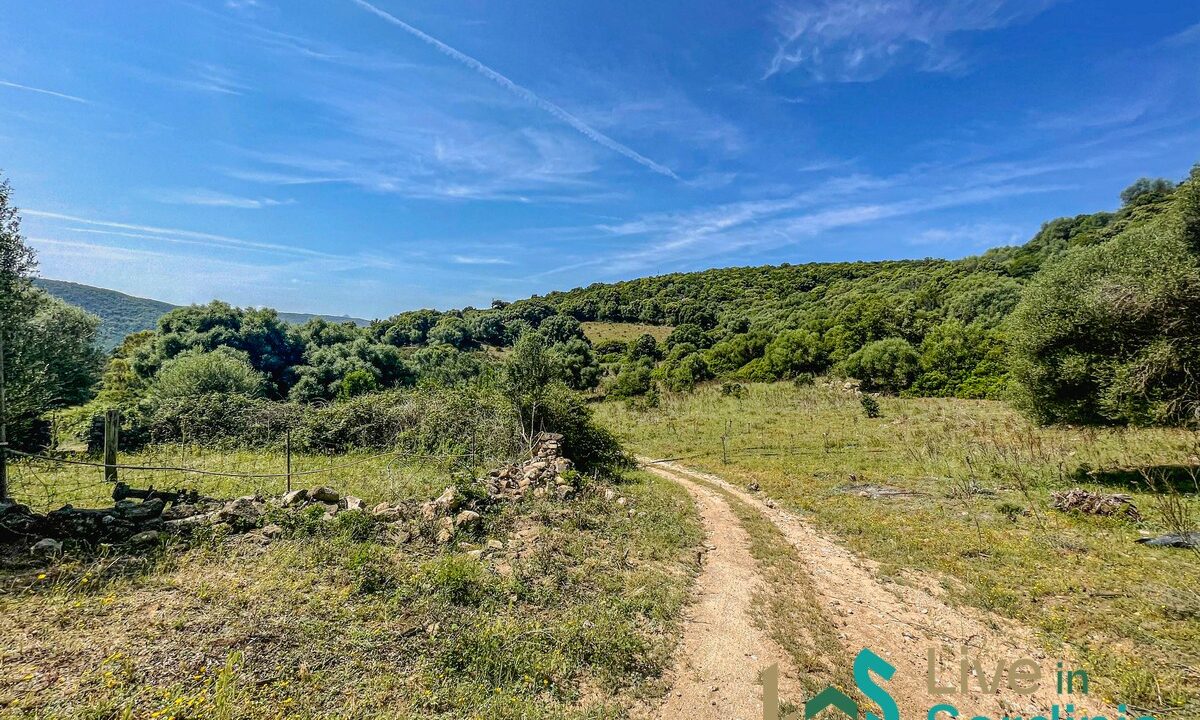 Farmhouse-For-Sale-Arzachena