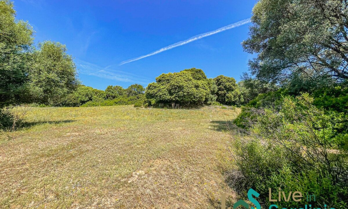 Farmhouse-For-Sale-Arzachena