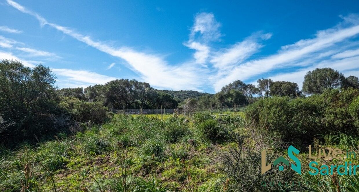 Farmhouse-For-Sale-Arzachena