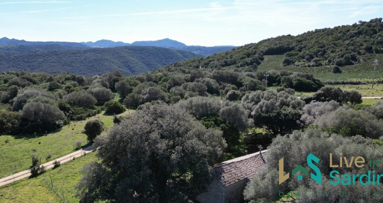 Farmhouse-For-Sale-Arzachena