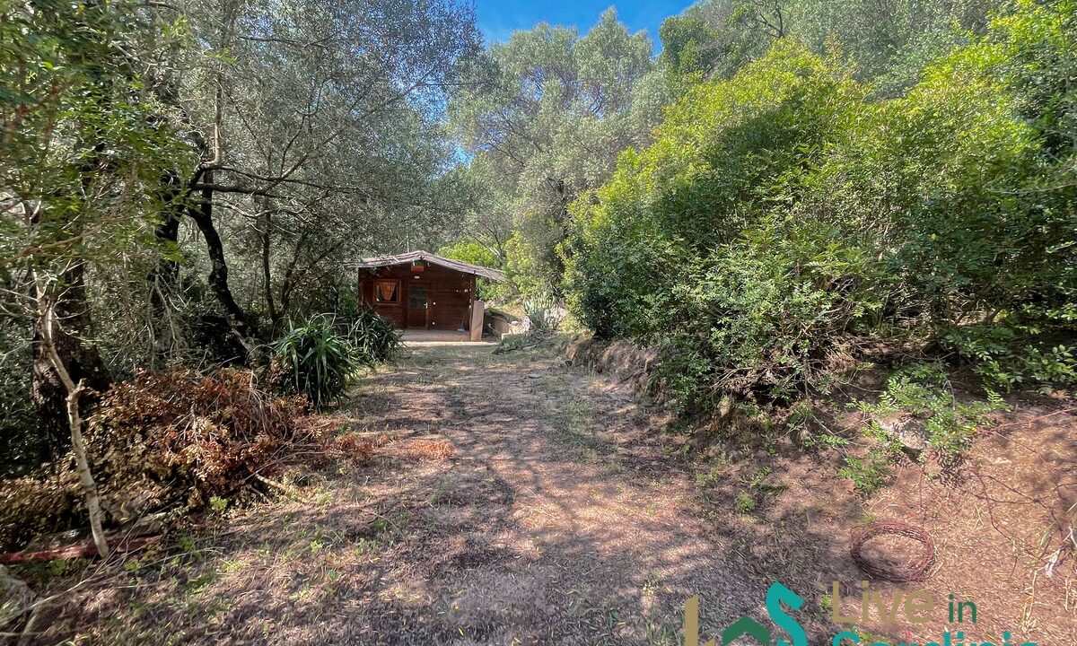 Farmhouse-For-Sale-Arzachena