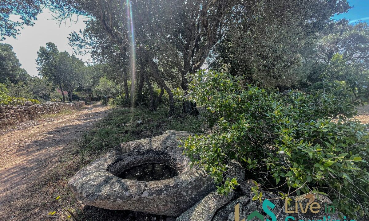 Farmhouse-For-Sale-Arzachena