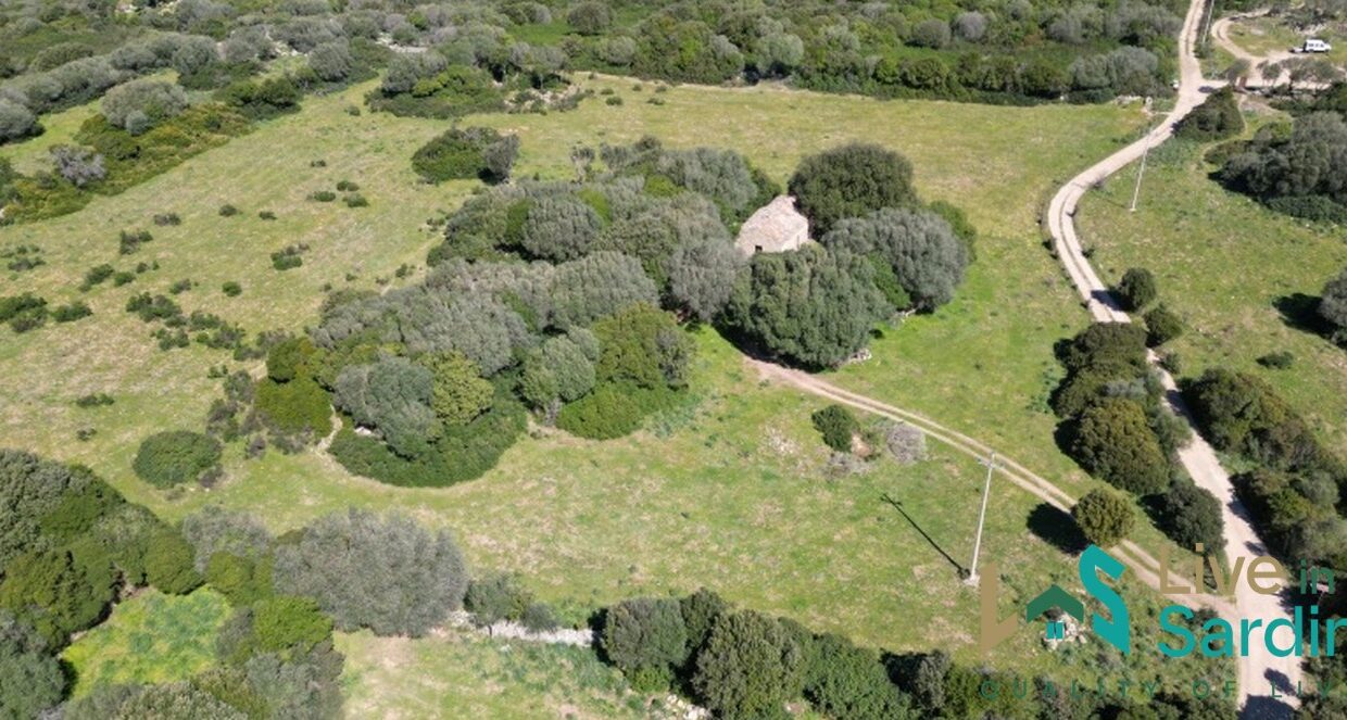 Farmhouse-For-Sale-Arzachena