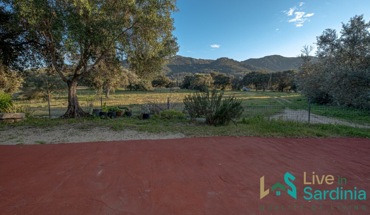 Country-Home-For-Sale-Monti-Sardinia