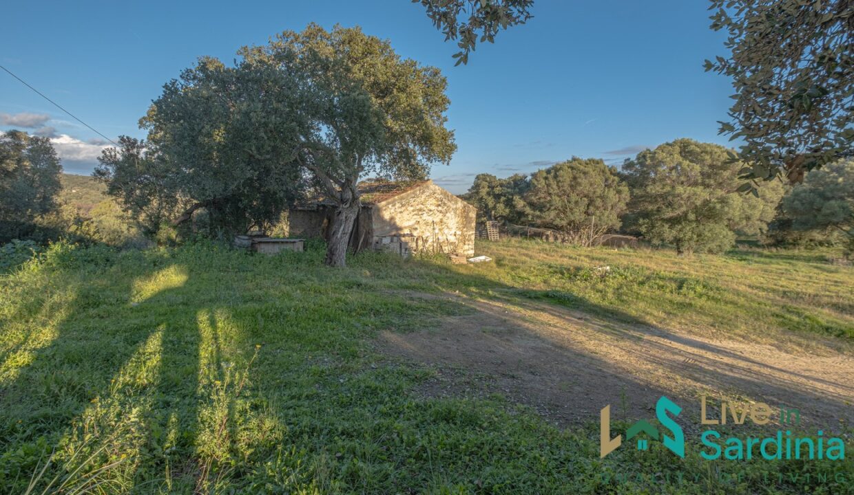 Country-Home-For-Sale-Olbia
