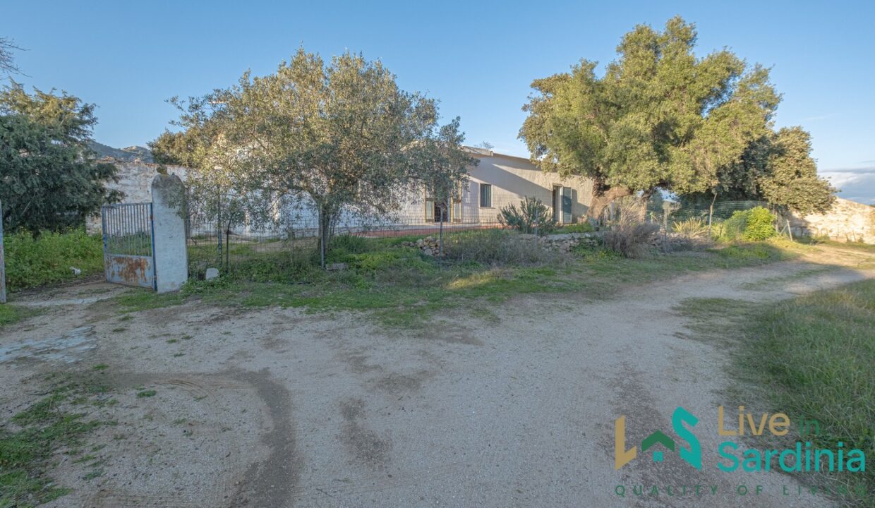 Country-Home-For-Sale-Olbia