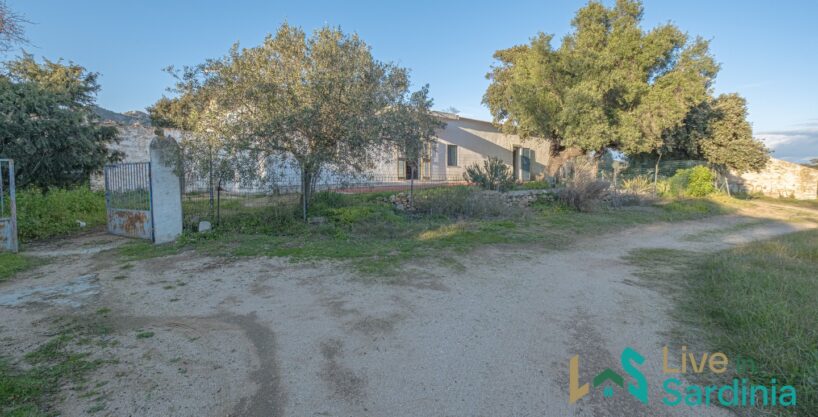 Country Home For Sale olbia