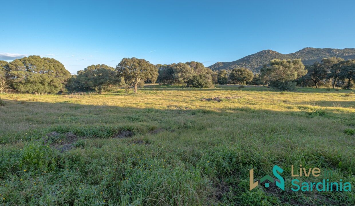 Country-Home-For-Sale-Olbia