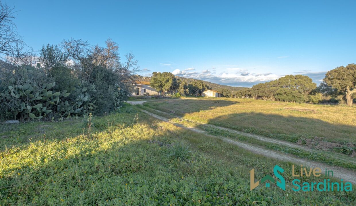 Country-Home-For-Sale-Olbia