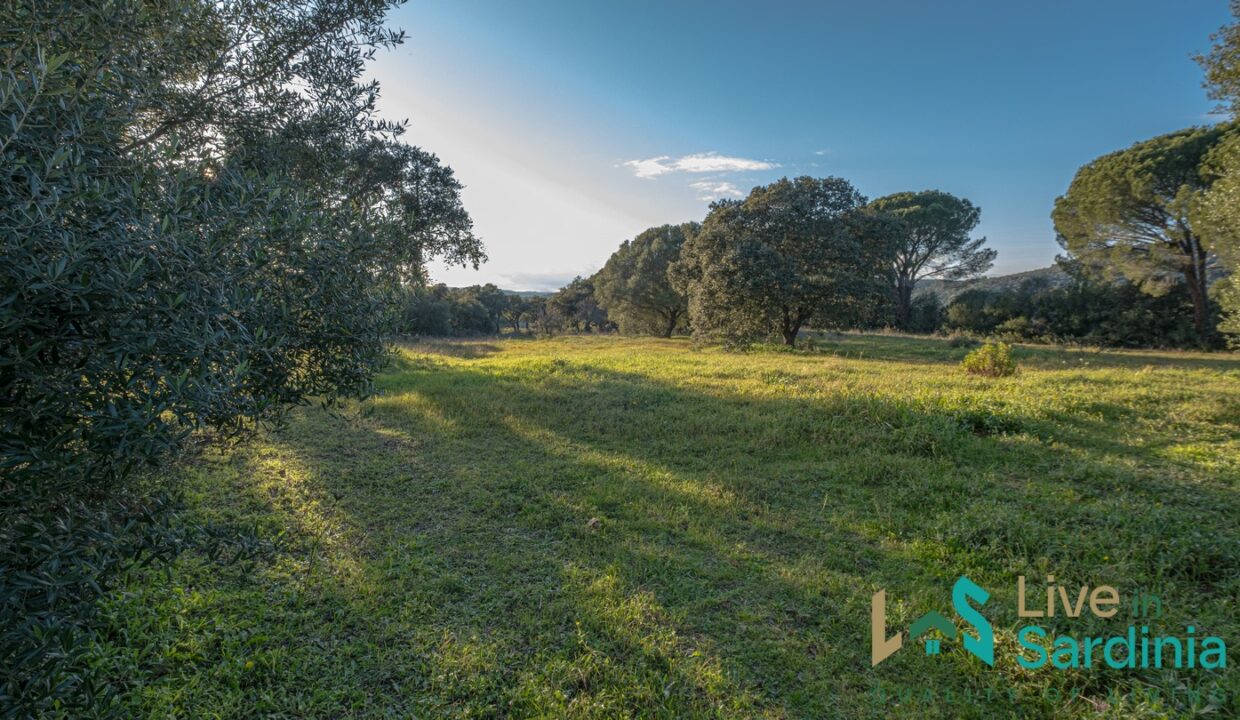 Country-Home-For-Sale-Olbia