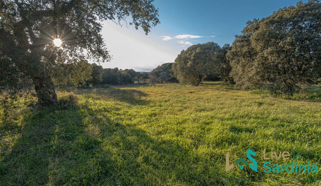 Country-Home-For-Sale-Olbia