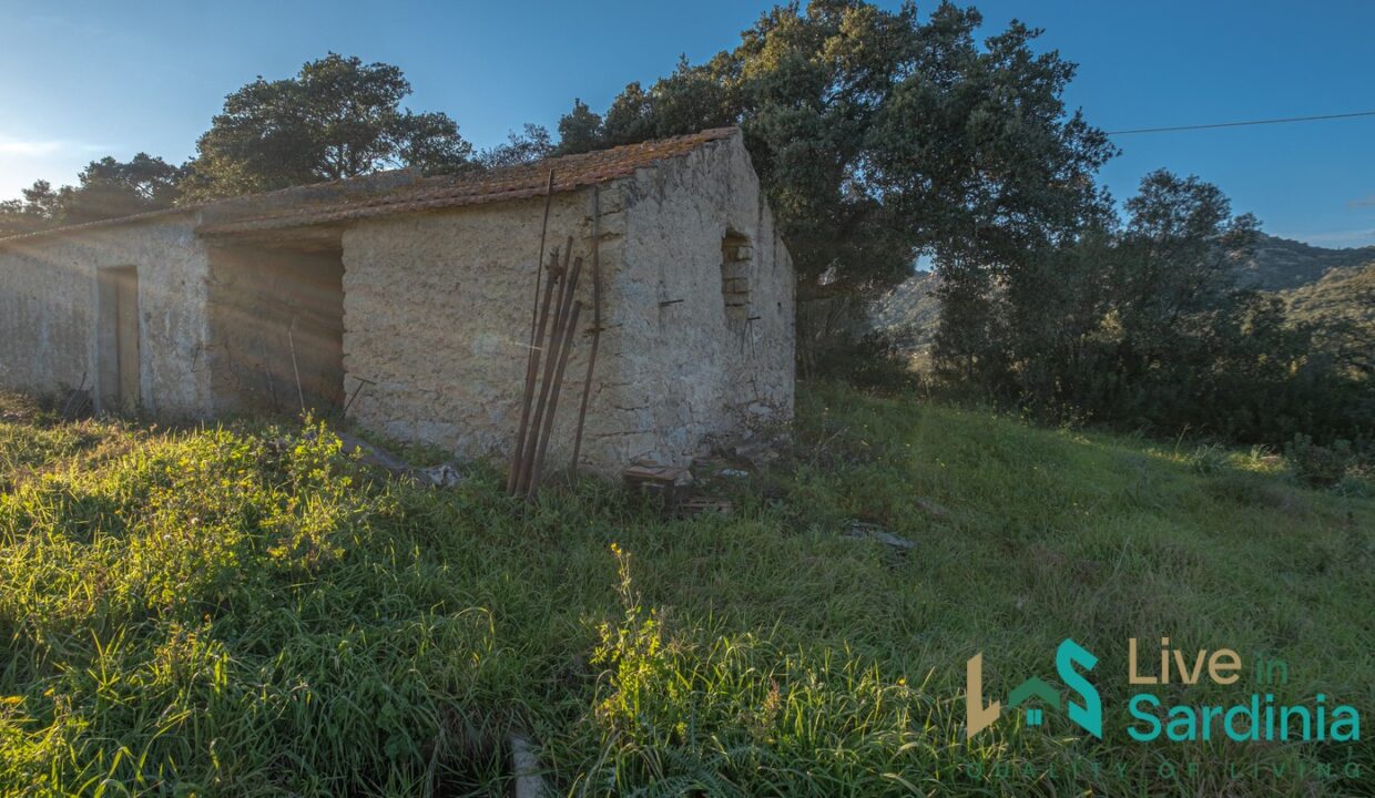 Country-Home-For-Sale-Olbia